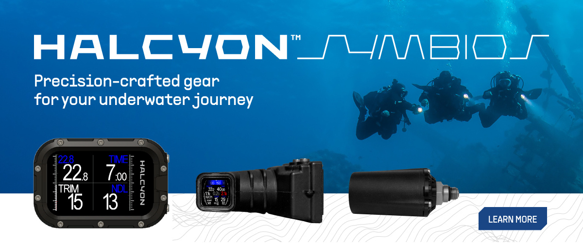 Halcyon Symbios System